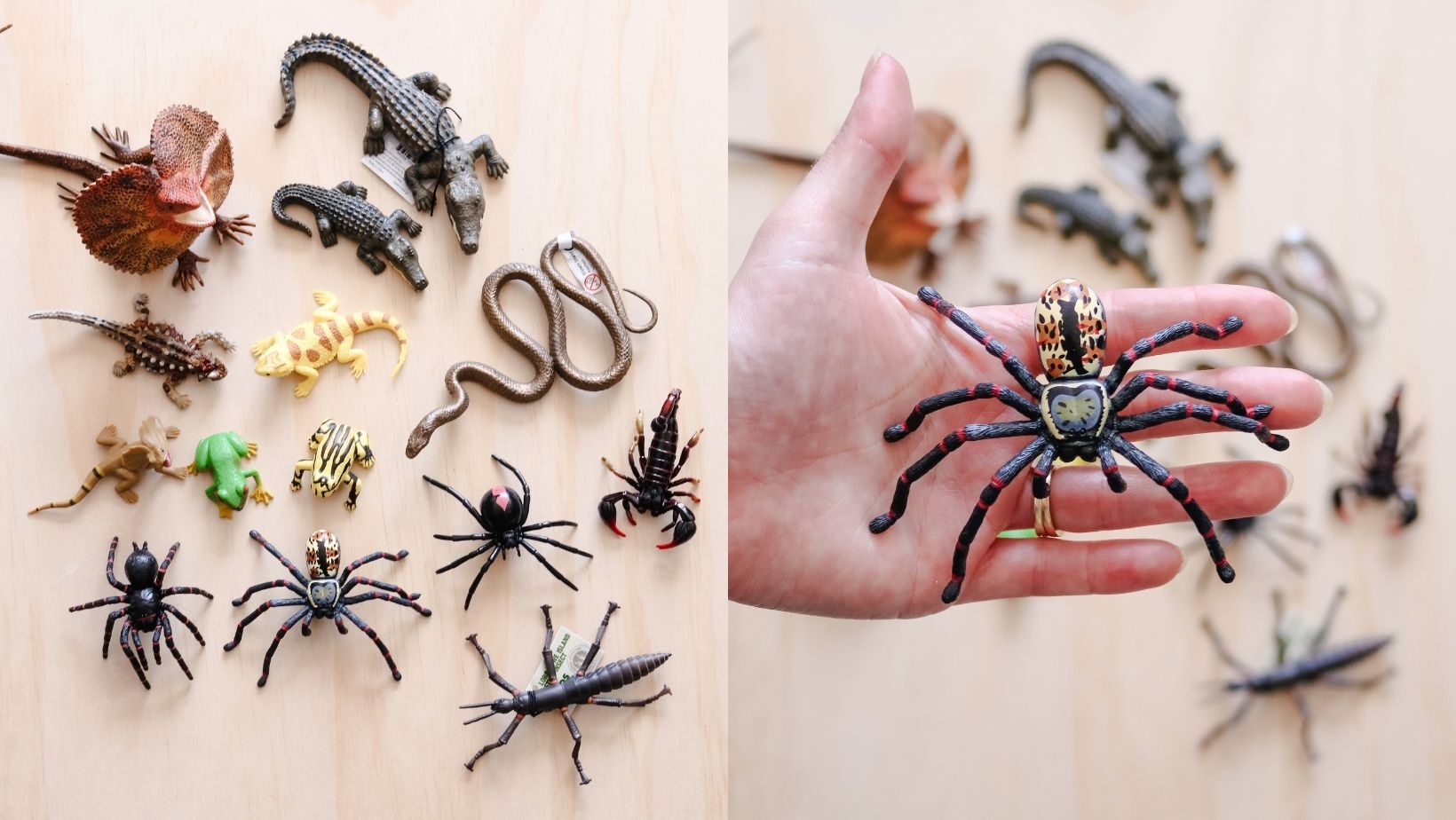 Science and Nature Reptiles and Arachnid animal figurines