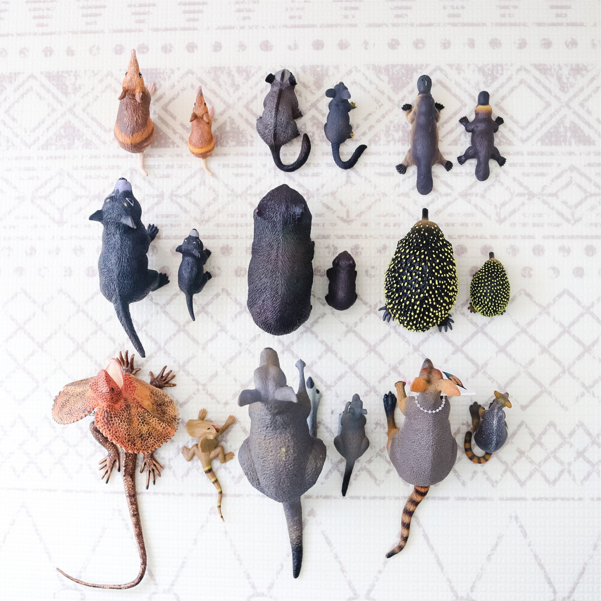 Science and Nature Large vs Small australian animal toys